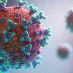 Die 10 gefährlichsten Viren der Welt