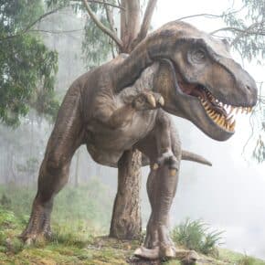 Die 10 größten Dinosaurier der Welt