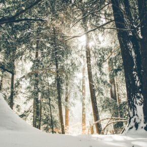 Winterurlaub im Erzgebirge – die Top 10 Wanderrouten