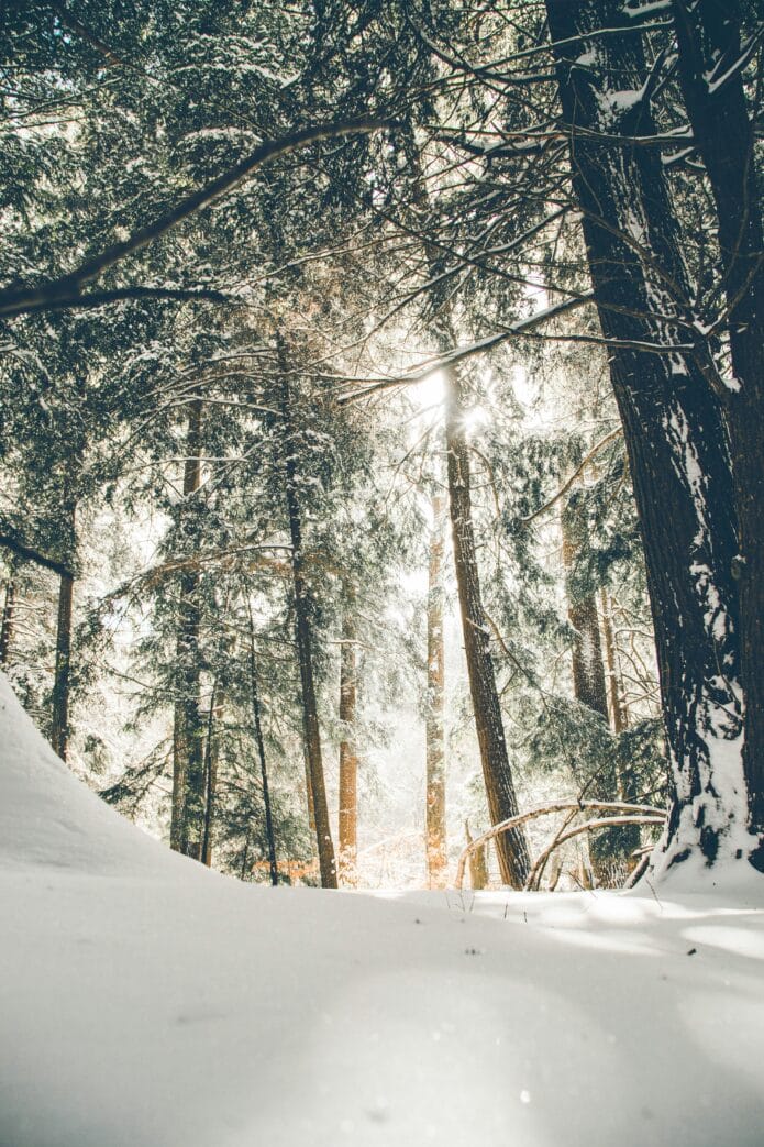 Winter im Erzgebirge