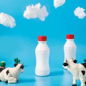 Die 10 größten Milchproduzenten der Welt
