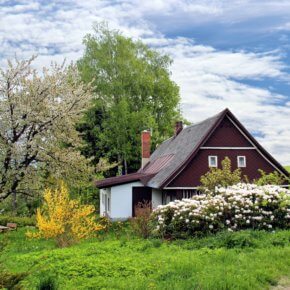 Garten verschönern mit wenig Aufwand und Budget