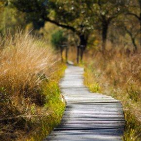 Ausflugstipps: 10 Wanderwege in Deutschland