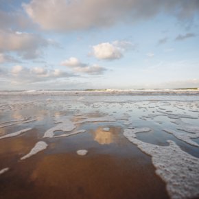 10 gute Gründe, um auf der Insel Texel Urlaub zu machen